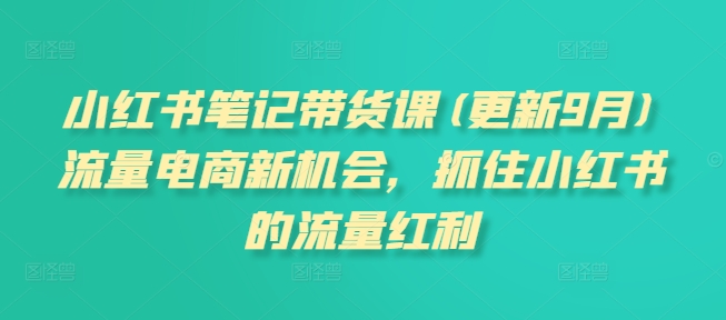 小红书笔记带货课(更新9月)流量电商新机会，抓住小红书的流量红利-副业资源站