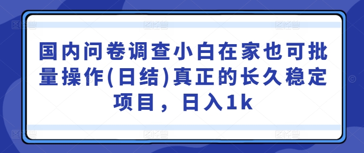 国内问卷调查小白在家也可批量操作(日结)真正的长久稳定项目，日入1k【揭秘】-副业资源站