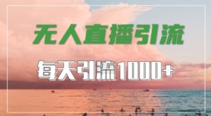 抖音快手视频号全平台通用,无人直播引流法,超暴力引流1000+高质量精准创业粉【揭秘】-副业资源站