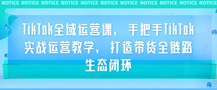 TikTok全域运营课，手把手TikTok实战运营教学，打造带货全链路生态闭环-副业资源站