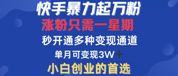 快手暴力起万粉，涨粉只需一星期，多种变现模式，直接秒开万合，单月变现过W【揭秘】-副业资源站