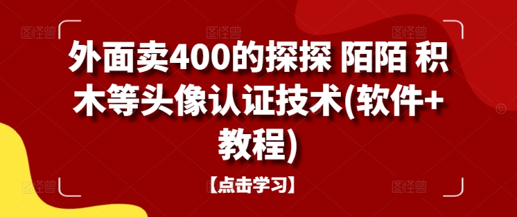 外面卖400的探探 陌陌 积木等头像认证技术(软件+教程)-副业资源站