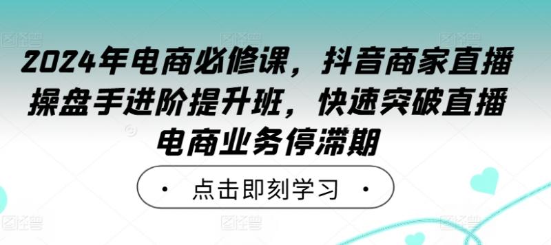 2024年电商必修课,抖音商家直播操盘手进阶提升班,快速突破直播电商业务停滞期