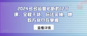2024多多运营必听的12节课,全程干货,玩法实操,爆款方案尽在掌握-副业资源站