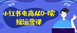 小红书电商从0-1实操运营课,小红书手机实操小红书/IP和私域课/小红书电商电脑实操板块等-副业资源站