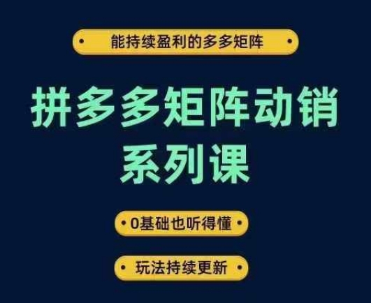 拼多多矩阵动销系列课，能持续盈利的多多矩阵，0基础也听得懂，玩法持续更新-副业资源站