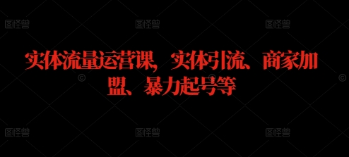 实体流量运营课，实体引流、商家加盟、暴力起号等-副业资源站