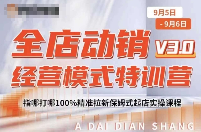 全店动销经营模式特训营，指哪打哪100%精准拉新保姆式起店实操课程-副业资源站