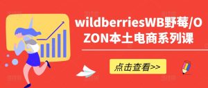 wildberriesWB野莓/OZON本土电商系列课,掌握WB产品优化,出单技巧和订单处理等-副业资源站