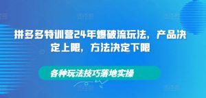 拼多多特训营24年爆破流玩法,产品决定上限,方法决定下限,各种玩法技巧落地实操-副业资源站