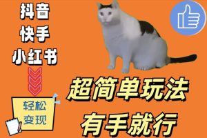 超简单玩法，有手就行，靠猫咪视频日入500+【揭秘】-副业资源站