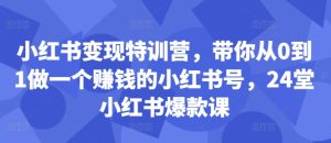 小红书变现特训营,带你从0到1做一个赚钱的小红书号,24堂小红书爆款课-副业资源站