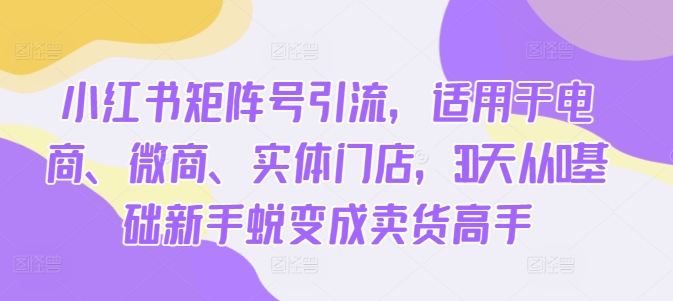 小红书矩阵号引流，适用于电商、微商、实体门店，30天从0基础新手蜕变成卖货高手-副业资源站