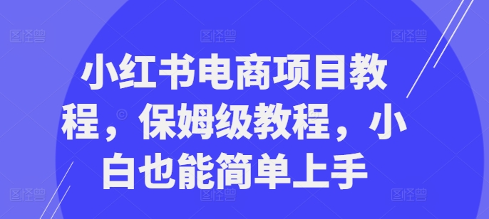 小红书电商项目教程，保姆级教程，小白也能简单上手-副业资源站