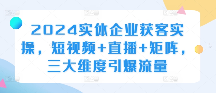 2024实体企业获客实操，短视频+直播+矩阵，三大维度引爆流量-副业资源站