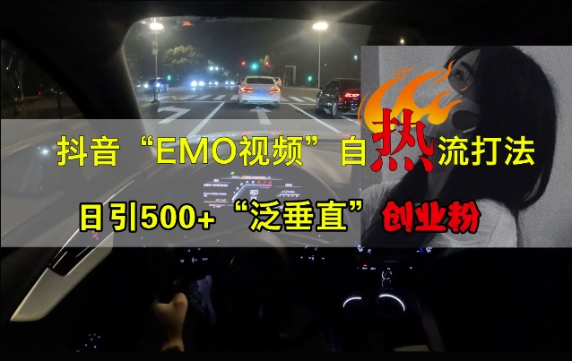 抖音EMO视频自热打法，日引500+“泛垂直”创业粉-副业资源站