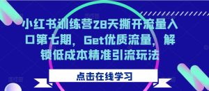 小红书训练营28天撕开流量入口第七期，Get优质流量，解锁低成本精准引流玩法-副业资源站