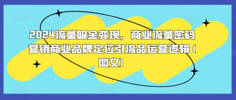 2024流量吸金变现，商业流量密码营销商业品牌定位引流品运营逻辑(图文)-副业资源站