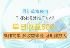 最新蓝海项目,利用tiktok海外推广小说赚钱佣金,简单易学,日入500+,可矩阵放大【揭秘】-副业资源站