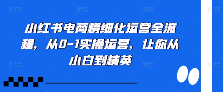 小红书电商精细化运营全流程，从0-1实操运营，让你从小白到精英-副业资源站