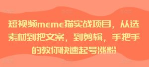 短视频meme猫实战项目,从选素材到把文案,到剪辑,手把手的教你快速起号涨粉-副业资源站