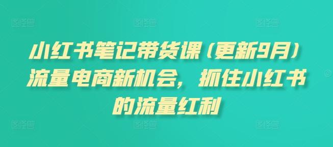 小红书笔记带货课(更新10月)流量电商新机会，抓住小红书的流量红利-副业资源站