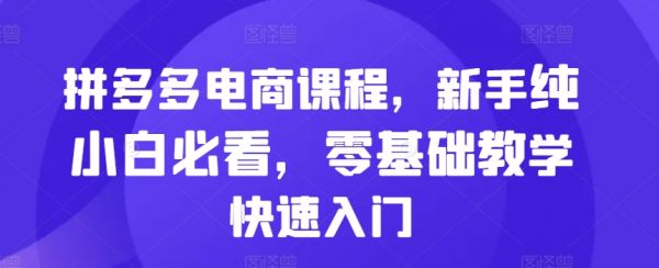 拼多多电商课程，新手纯小白必看，零基础教学快速入门-副业资源站