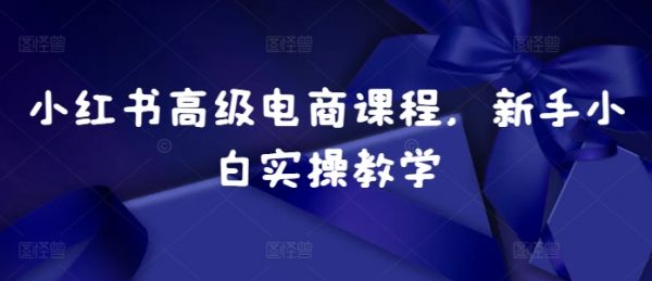 小红书高级电商课程，新手小白实操教学-副业资源站