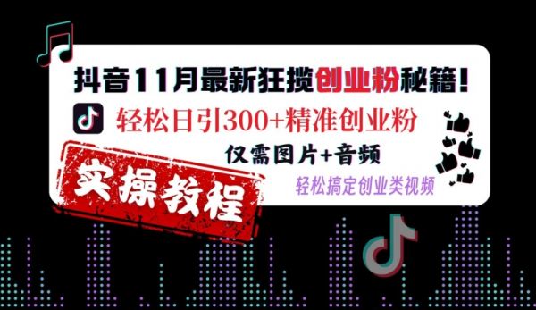 抖音11月最新狂揽创业粉秘籍，轻松日引300+精准创业粉，仅需图片+音频，轻松搞定创业类视频-副业资源站