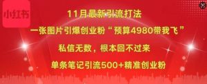 小红书11月最新图片打粉,一张图片引爆创业粉,“预算4980带我飞”,单条引流500+精准创业粉-副业资源站