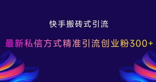 快手搬砖式引流，最新私信方式精准引流创业粉300+-副业资源站