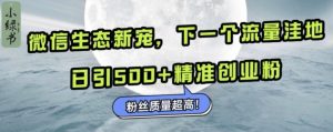 微信生态新宠小绿书：下一个流量洼地，日引500+精准创业粉，粉丝质量超高-副业资源站