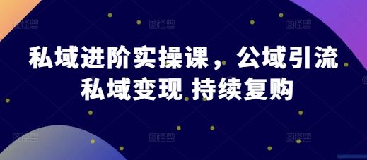 私域进阶实操课，公域引流 私域变现 持续复购-副业资源站