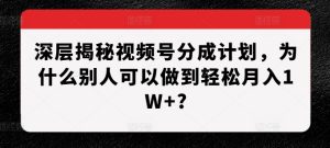深层揭秘视频号分成计划,为什么别人可以做到轻松月入1W+?-副业资源站