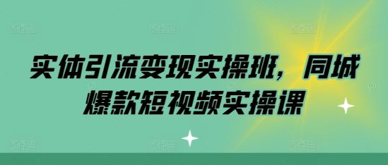 实体引流变现实操班，同城爆款短视频实操课-副业资源站