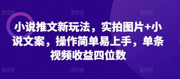 小说推文新玩法，实拍图片+小说文案，操作简单易上手，单条视频收益四位数-副业资源站