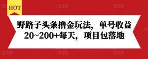 野路子头条撸金玩法，单号收益20~200+每天，项目包落地-副业资源站