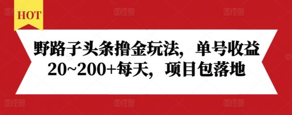 野路子头条撸金玩法，单号收益20~200+每天，项目包落地-副业资源站