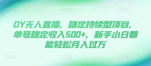 DY无人直播，稳定持续型项目，单号稳定收入500+，新手小白都能轻松月入过万【揭秘】-副业资源站