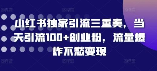 小红书独家引流三重奏，当天引流100+创业粉，流量爆炸不愁变现【揭秘】-副业资源站