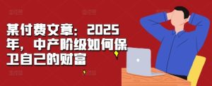 某付费文章:2025年,中产阶级如何保卫自己的财富-副业资源站