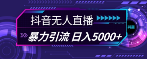 抖音快手视频号全平台通用无人直播引流法,利用图片模板和语音话术,暴力日引流100+创业粉【揭秘】-副业资源站