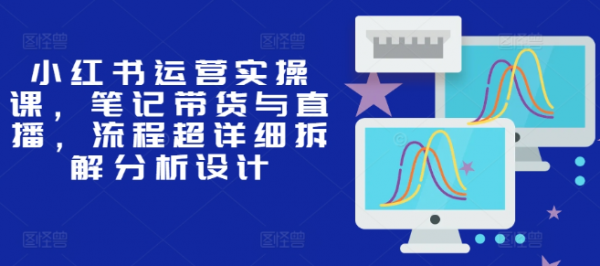 小红书运营实操课，笔记带货与直播，流程超详细拆解分析设计-副业资源站