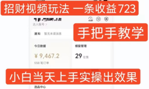 招财视频玩法,一条视频收益723,手把手教学,小白当天可上手-副业资源站