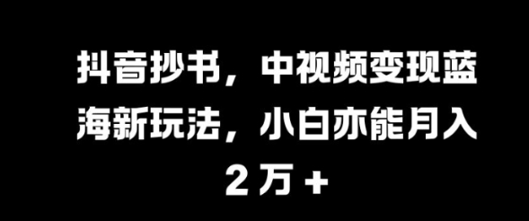 抖音抄书，中视频变现蓝海新玩法，小白亦能月入 过W【揭秘】-副业资源站