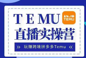 Temu直播实战营,玩赚跨境拼多多Temu,国内电商卷就出海赚美金-副业资源站