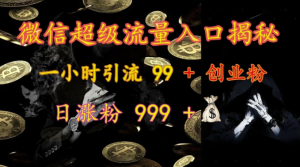 微信超级流量入口揭秘:一小时引流 99 + 创业粉,日涨粉 999 +-副业资源站