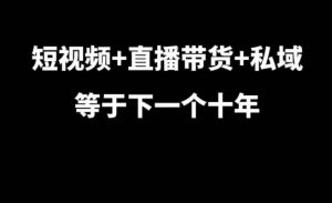 短视频+直播带货+私域等于下一个十年,大佬7年实战经验总结-副业资源站