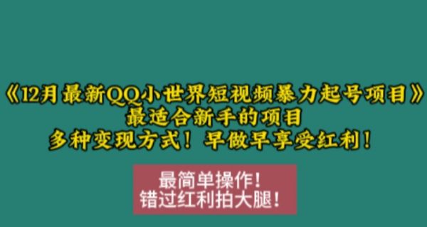 12月最新QQ小世界短视频暴力起号项目，最适合新手的项目，多种变现方式-副业资源站