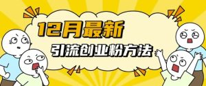 12月最新引流创业粉方法，方法非常简单，适用于多平台-副业资源站